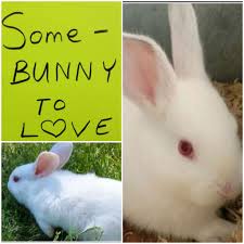 Found keys in parking lot near Tractor Supply