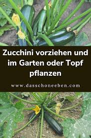 Pin On Garten