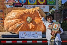 Image result for giant pumpkin