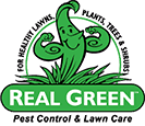 Real green pest prevention service is a vast improvement over outdated pest control practices. Real Green Pest Lawn Pest Control Services Austin Tx
