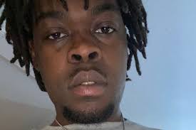 Fundraiser by Fallon Barber : Bring D'Aeryis Home