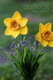 Daffodil Narcissus Pattern By Happy Patty Crochet Crochet Flower Patterns Daffodils Crochet Flowers
