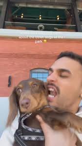 Harry🐾 (@harrydawiener) • Instagram photos and videos