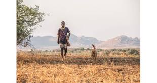 The Boy Who Harnessed The Wind Movie Review