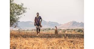Yet he is betrayed again, and a young man from a jewish orphanage forcefully tries to bring jurek back to his people and his faith. The Boy Who Harnessed The Wind Movie Review