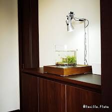 玄関 入り口 玄関ディスプレイ 水草水槽 玄関 アクアリウムのインテリア実例 2014 10 07 15 49 43 roomclip ルームクリップ インテリア リビング 水槽 模様替え