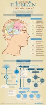 How Does The Brain Retain Information View This Infographic To See How Your Memory Works Thewisesage The Wise Sage Brain Science Neuroscience Brain Health