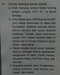 Paragraf deskripsi dibuat atau di rangkai dengan kalimat deskripsi sampai menjadi sebuah paragraf. Contoh Deskripsi Benda Seperti Brainly Co Id