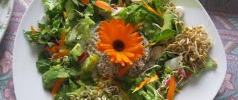 Nous vous proposons un véritable voyage culinaire. Atelier Cuisine Et Potager Evenement Chemins Du Patrimoine En Finistere