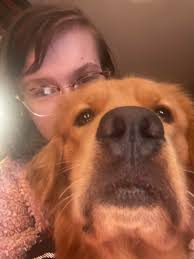 UMass Amherst Transfer Students