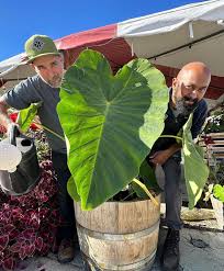 🎉 Huge Congratulations to our friends at Peabody Heights