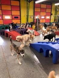 Pin By Omifit Jp On Dog Daycare Boarding Indoor Dog Park Dog Boarding Kennels Dog Daycare