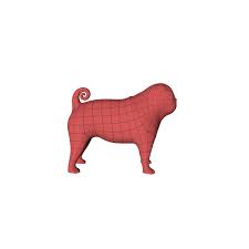 Pug Base Mesh 3d Model Ad Base Pug Model Mesh In 2020 Pugs Flyer Design Layout 3d Model