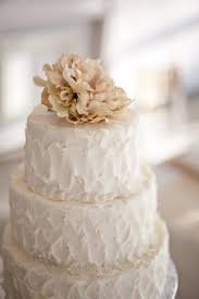 Wedding Cakes No Fondant Allowed Squirrelly Minds Wedding Cake Rustic Pink Wedding Cake Champagne Wedding Colors