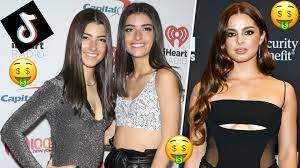 Alyas per the report, aly, the top indian tiktoker with over 43 million followers, earns an estimated $35,000 per branded post, while guragain, who had 28 million fans on the platform, makes approximately $23,500 for each sponsored content post. Heat S Rich List 2020 The Richest Tiktok Stars Celebrity Heat