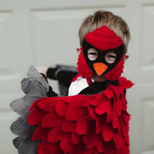 Bird Costume For Kids Red Cardinal Costume Kids Red Cardinal Bird Bhb Kidstyle Disfraces De Pajaros Disfraces De Animales Para Ninos Disfraces De Animales