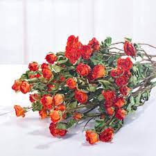 It is heat tolerant, does not require deadheading, and attracts hummingbirds. Flower That Represents Eternal Love
