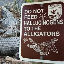 Animals that are fed by humans learn to frequent roadsides and parking lots, dramatically increasing. Zoo Visitors Share Snaps Of Hilarious Signs Daily Mail Online