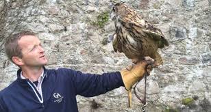 The use of raptors in pest control is a long established method of utilising raptors natural behaviour to keep areas free of nuisance birds (pigeons and if you are interested in learning more about these fascinating birds of prey, or would like to experience the thrill of flying and even hunting with hawks. Can Birds Of Prey Solve Ireland S Huge Pest Problem