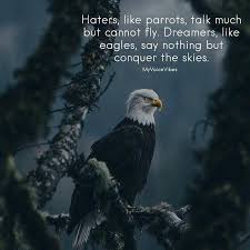 Cannot Fly Birds That Don T Fly Positive Quotes Haters Like Parrots Talk Much But Cannot Fly Dreamers Like Eagles Say Nothing B Hall Of Quotes Your Daily Source Of Best Quotes Bald Eagle Animals Beautiful Eagles