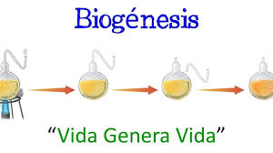 ▻ Teoría de la Biogénesis
