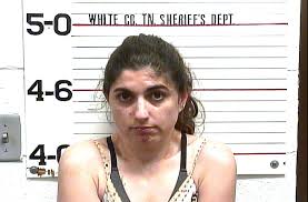 Sparta men arrested in undercover operation aimed at human trafficking