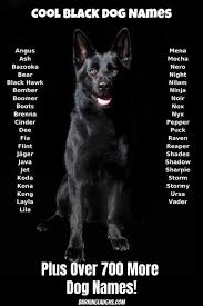 Black And White Puppy Names Black Dog Names For Your New Puppy Be Sure To Get This Right Your Dog Deserves An Awesome Name Over 700 Dog Names Barkinglaughs Puppynames Dognames In 2020 Nilam