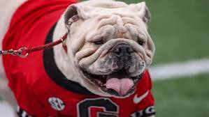 Georgia football announces 2026 homecoming game