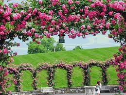 Https Encrypted Tbn0 Gstatic Com Images Q Tbn And9gcthpoz8xt81 Rggxup5npe1ndlmtbukyyjaja Usqp Cau