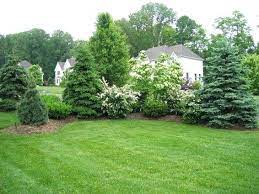 Learn how to select your plants and the seven basic ways that plants are arranged in foundation plantings help anchor the house into the landscape. Best Plants For Privacy Screening That Don T Look Like Arborvitae Blessing Landscapes