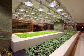 Gallery Of K11 Art Mall Shanghai Kokaistudios 15 Store Design Interior Sustainable Architecture Interior Garden