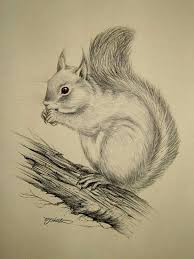 Pin By Little Red Squirrel On Tattoo Art Drawings Sketches Ink Sketch Drawing Sketches