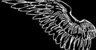 Black And White Dark Theme Dividers Instagram 