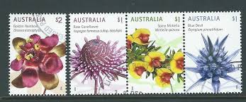 Image result for Dasylepis