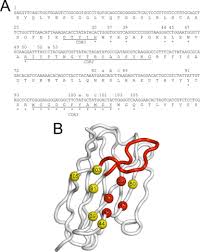 Sterjo facebook password finder recovers forgotten facebook logins stored by most popular web browsers. Comprehensive Analysis Of The Factors Contributing To The Stability And Solubility Of Autonomous Human Vh Domains Journal Of Biological Chemistry