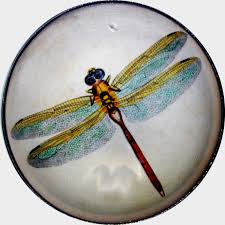 Black Green And Blue Dragonfly Crystal Dome Button Dragonfly Blue Green Wings Lgsz Dfly 17 Free Us Shipping Green Wing Dragonfly Wall Art Blue Green