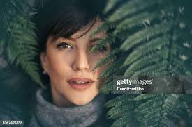 5,944 Long Leaves Closeup Stock Photos, High-Res Pictures, and Images