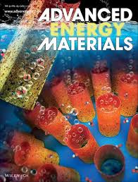 André van duin over nationale dodenherdenking op een nos jeugdjournaal: Electrocatalysis Mesoporous Decoration Of Freestanding Palladium Nanotube Arrays Boosts The Electrocatalysis Capabilities Toward Formic Acid And Formate Oxidation Adv Energy Mater 25 2019 Advanced Energy Materials X Mol