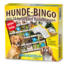 Check spelling or type a new query. Bingo Spielregeln Spielanleitung Bingo