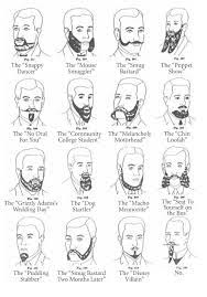 Step by step dry shaving: I Simply Adore Your Chin Loofah Types Of Facial Hair Mens Facial Hair Styles Men Facial