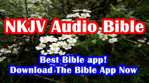 Download nkjv bible offline has many incredible features, please experience it! Free Audio Bible Download Nkjv 01brlk Youtube