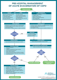 Image result for COPD Management