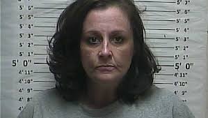 In Weakley County, 11 meth arrests in 1 day