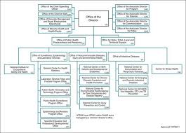 Public Health System Structure And Function Basicmedical Key