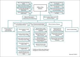 public health system structure and function basicmedical key