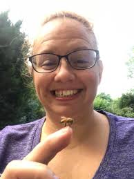 Honey bee visits for breakfast