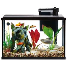 However, you cannot put multiple bettas in the same tank. Top Fin Essentials Aquarium Starter Kit Fish Starter Kits Petsmart