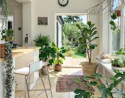 A metal trellis attached to the wall can provide a place for hanging potted plants or for indoor vines to climb. 17 Indoor Gardening Ideas How To Start Herbs Vegetables And More Plants Inside Real Homes