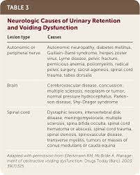 Urinary Retention In Adults Evaluation And Initial Management American Family Physician