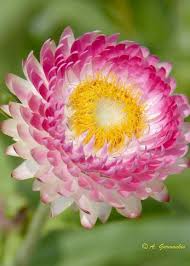 Pin On Nature